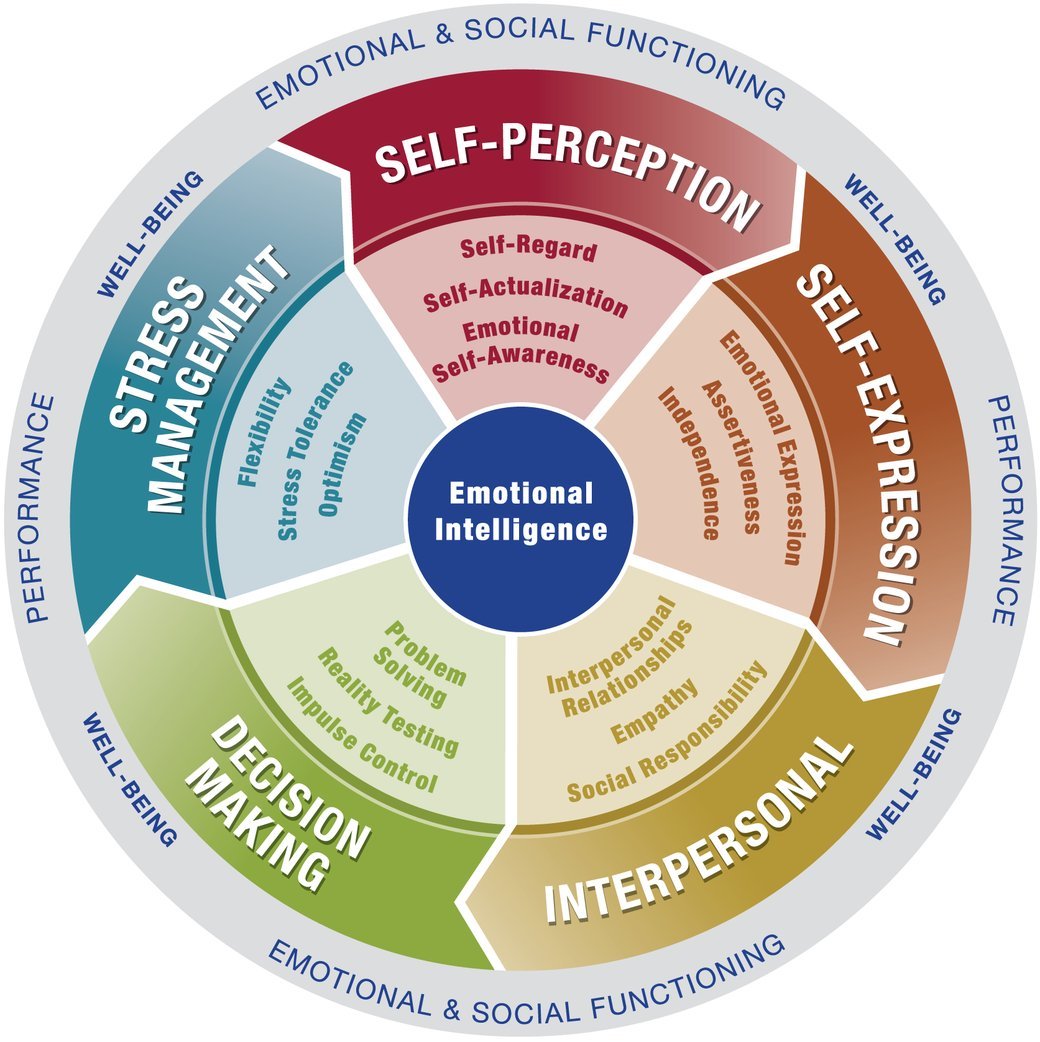 EQ-i 2.0 model wheel: five composites — Self-Perception, Self-Expression, Interpersonal, Decision Making, Stress Management — with fifteen subscales